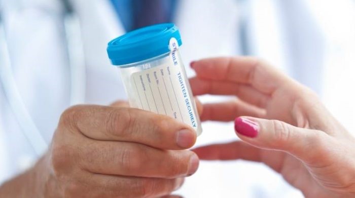 Synthetic Urine Use Reedsville WI 54230